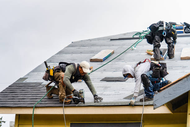 Professional Roofing technician working in Swanville, MN